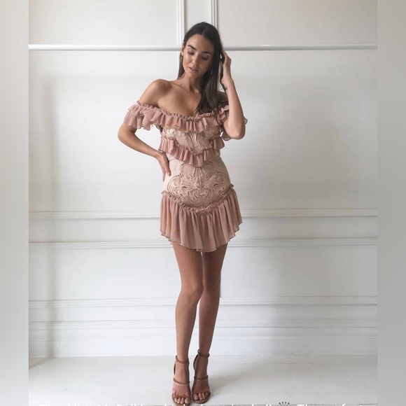 ❌SOLD❌ALICE MCCALL LOVEBIRDS DRESS ROSE PINK SIZE 6 - Picture 6 of 17